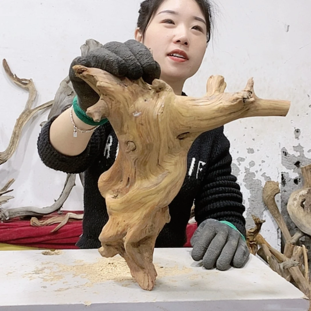 【闪购商品】柏木古**香我们都是好孩子