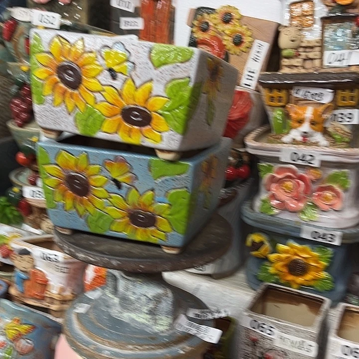 粗陶材质多肉花盆