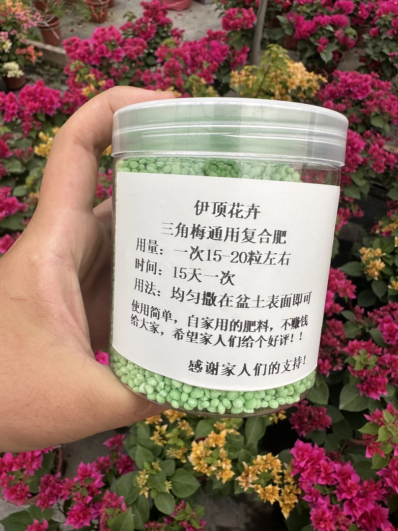 三角梅通用（复合肥）爆花促分枝冠幅自家基地专用