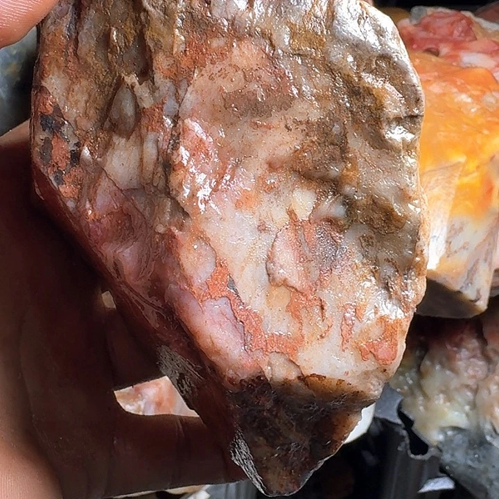 寿山石沙*上寿山石的故事