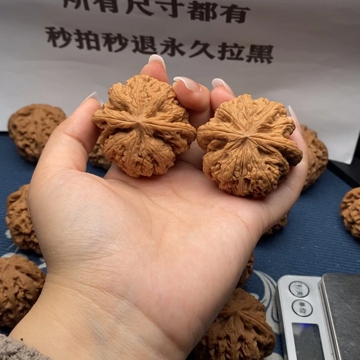 G***k核桃粗筋全品48。 9