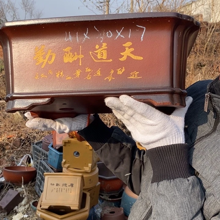 花盆紫砂紫砂特价包邮