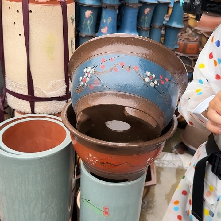 红富贵点彩大+蓝富贵点彩大