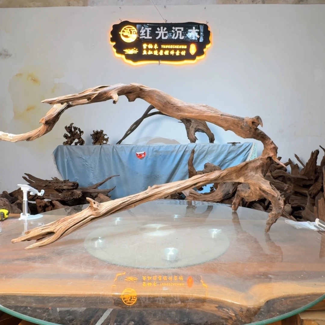 沉木一物一拍造景