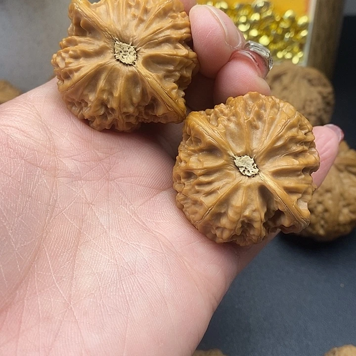 专***器大叶紫檀（黑酸枝木类）宫灯43