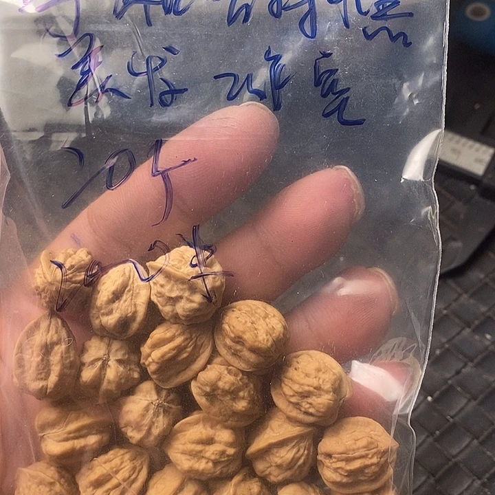 呼***室吊坠桃核20个嵩山蛤蟆