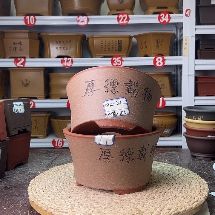 花盆紫砂蛇年大吉