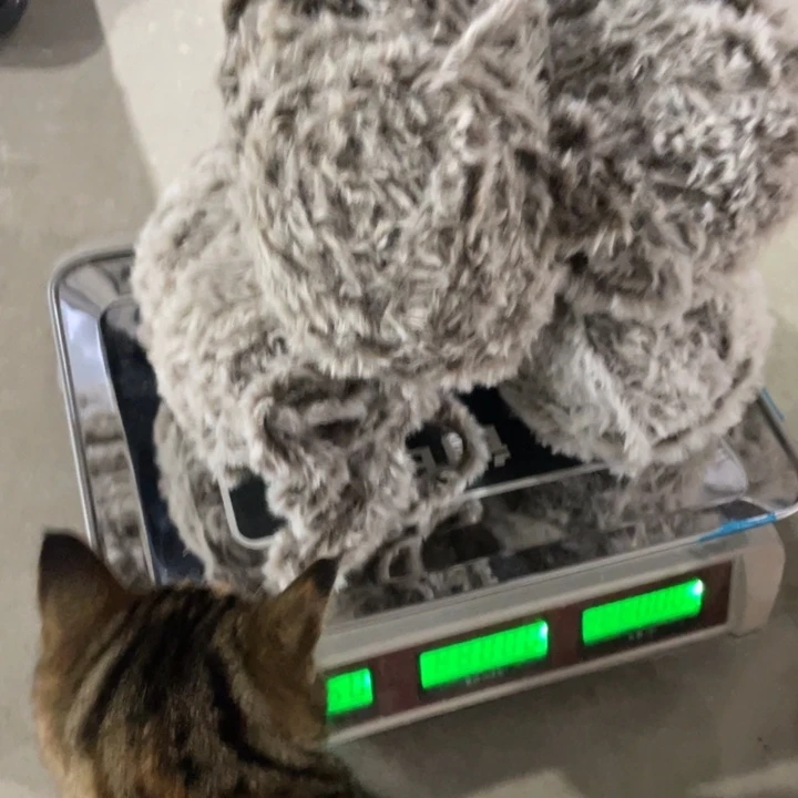 柒****皮草4团毛线511号