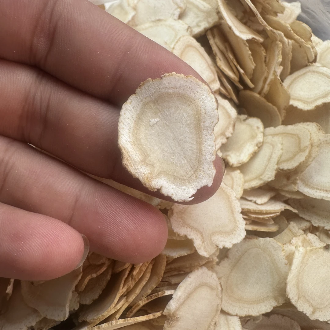 西洋参   大片可泡水泡茶煲汤口含养生