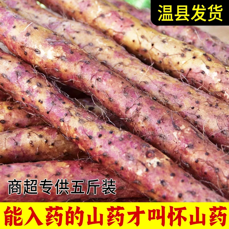 【2025新挖】新鲜山药河南特产焦作温县铁棍山药正宗红皮铁杆淮山药