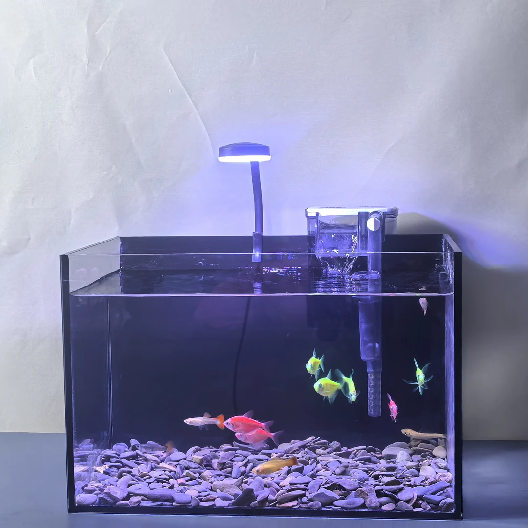 30*18*20金晶超白鱼缸新手快乐缸