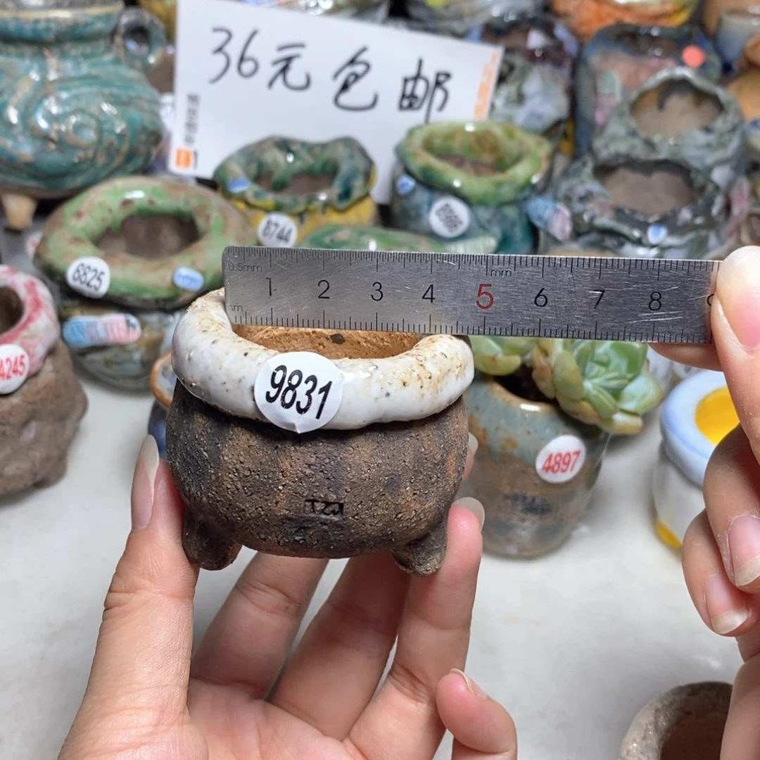 拍3送一个小礼物