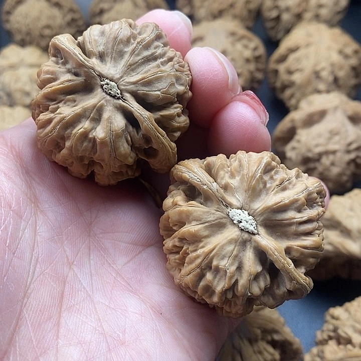 龙脊菩提吊坠粗筋43色差