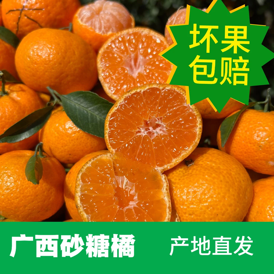 【正宗广西砂糖橘】多汁无渣老树果桂林产地现摘现发中通包邮福利款