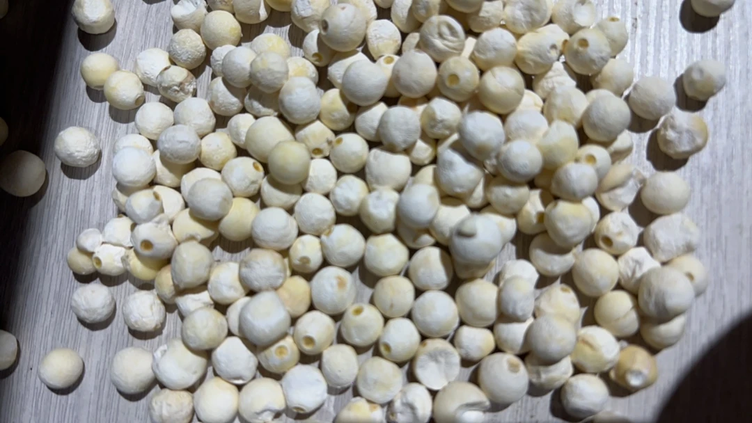 《豆豆推荐》正宗苏州苏芡鸡头米500 g