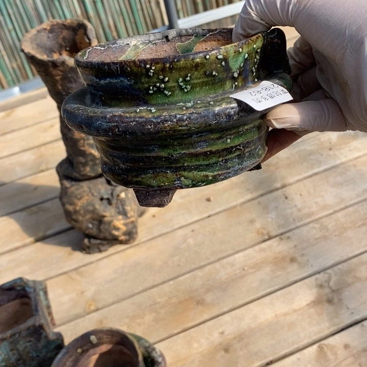 红陶༻****༺62号多肉盆一个呀