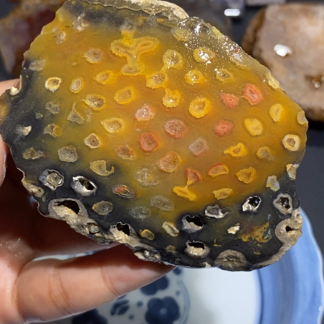 【闪购商品】未镶嵌珊瑚玉硅化玉