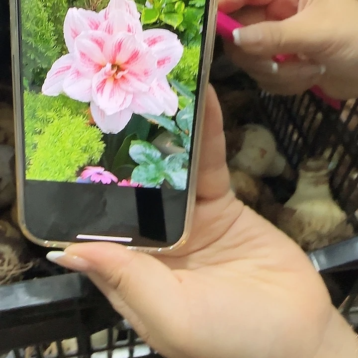 水彩画6公分左右福利