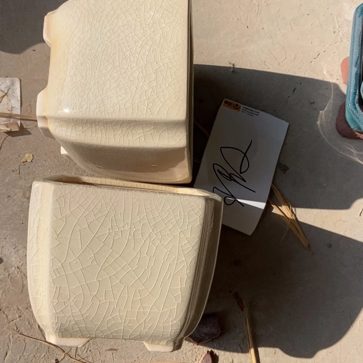 花盆花盆福利多多