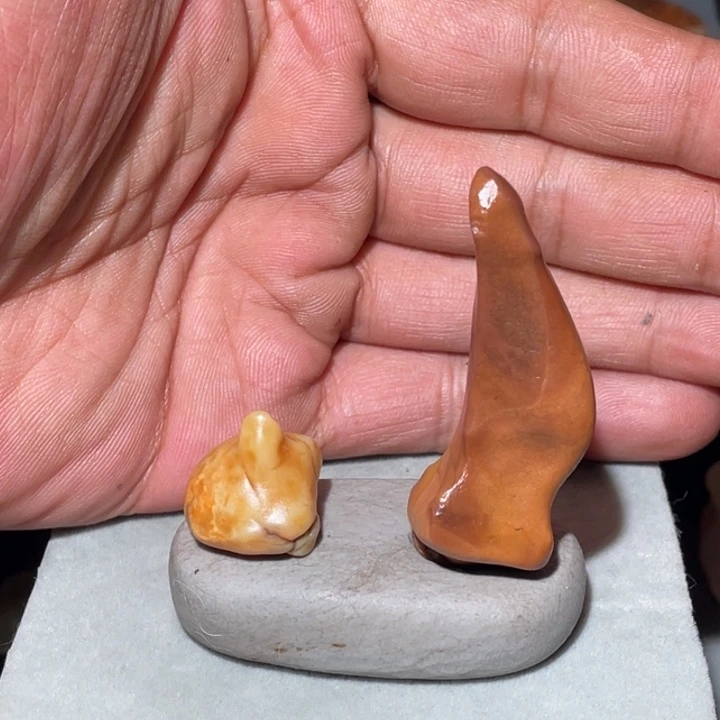 西***拳石材阿拉善沙漠奇石