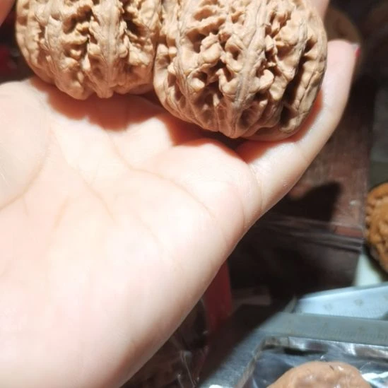 猴头核桃吊坠飞*41粗筋