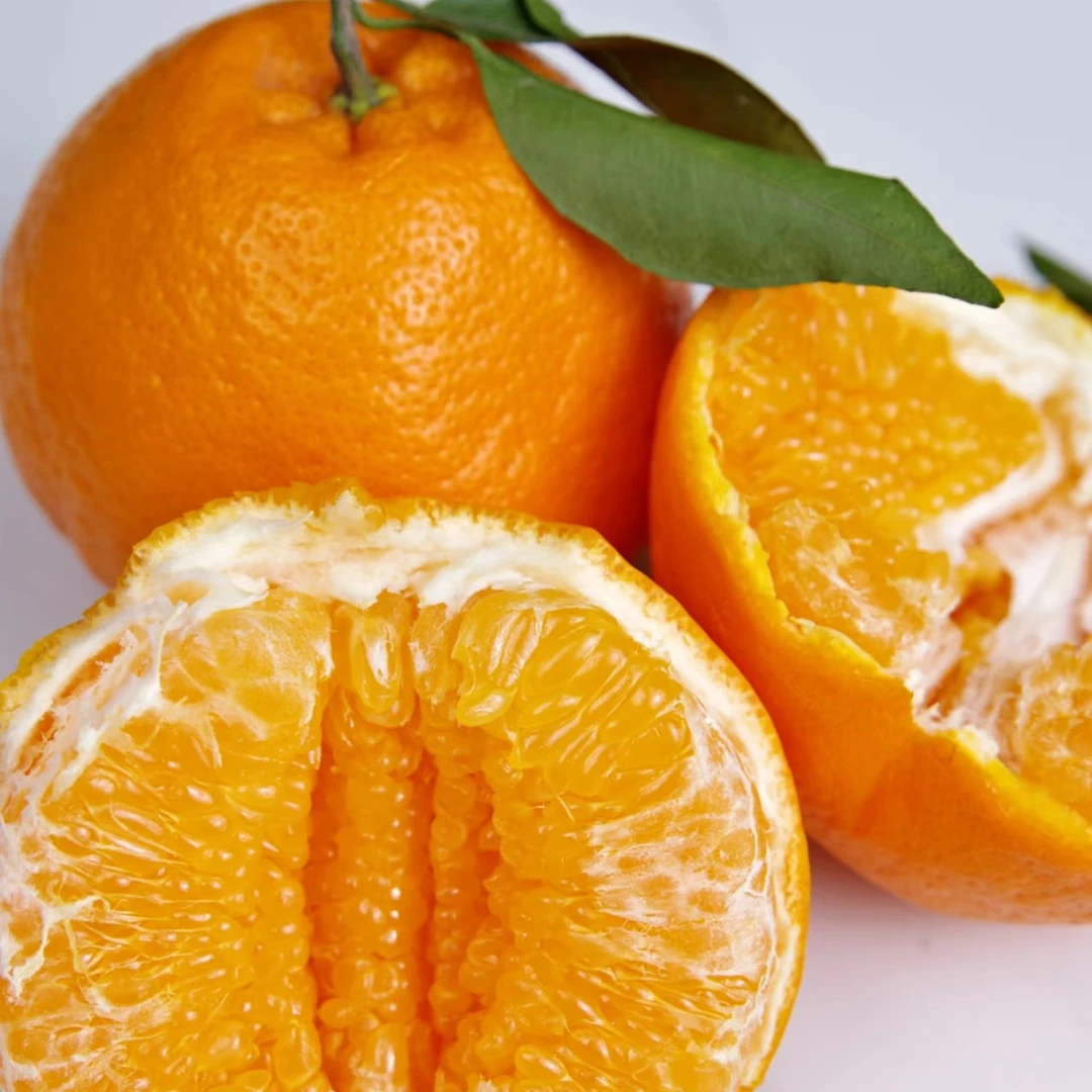 阿斯蒂娜新鲜粑粑柑当季水果皮薄多汁果香浓500g产地直发现摘现发四川省