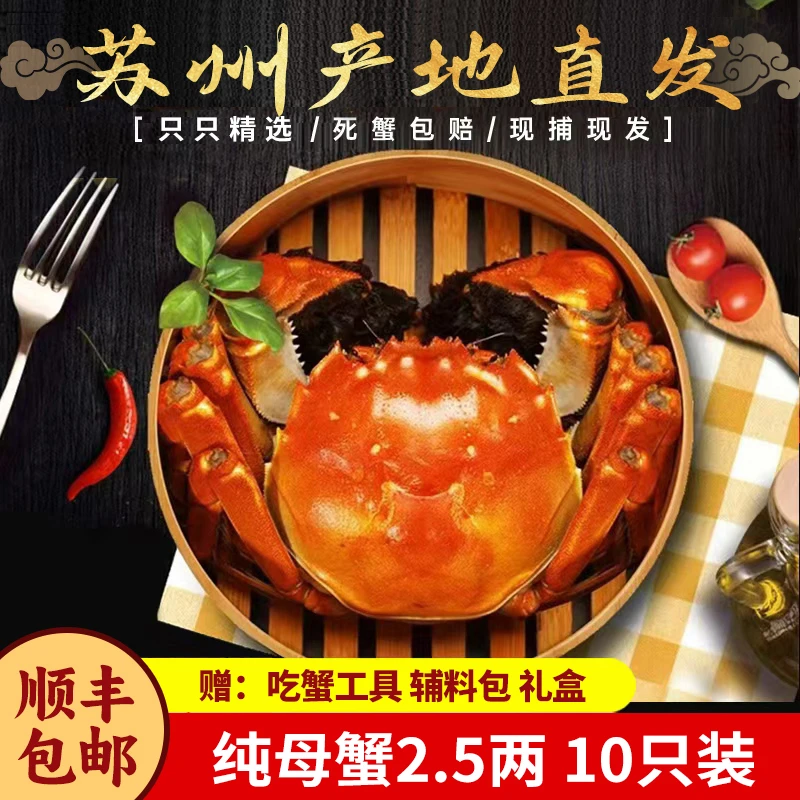 【活蟹】苏州精品大闸蟹全母蟹2.5两10只蟹单江苏鲜活螃蟹顺丰包邮