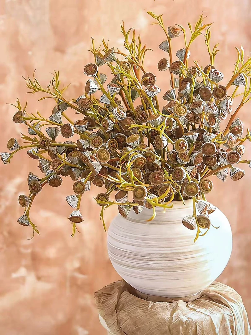 清新花材尤加利老果产地直发可做干花