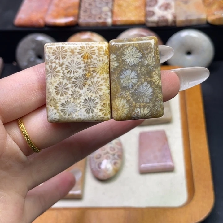 未镶嵌吊坠硅化珊瑚（珊瑚玉）