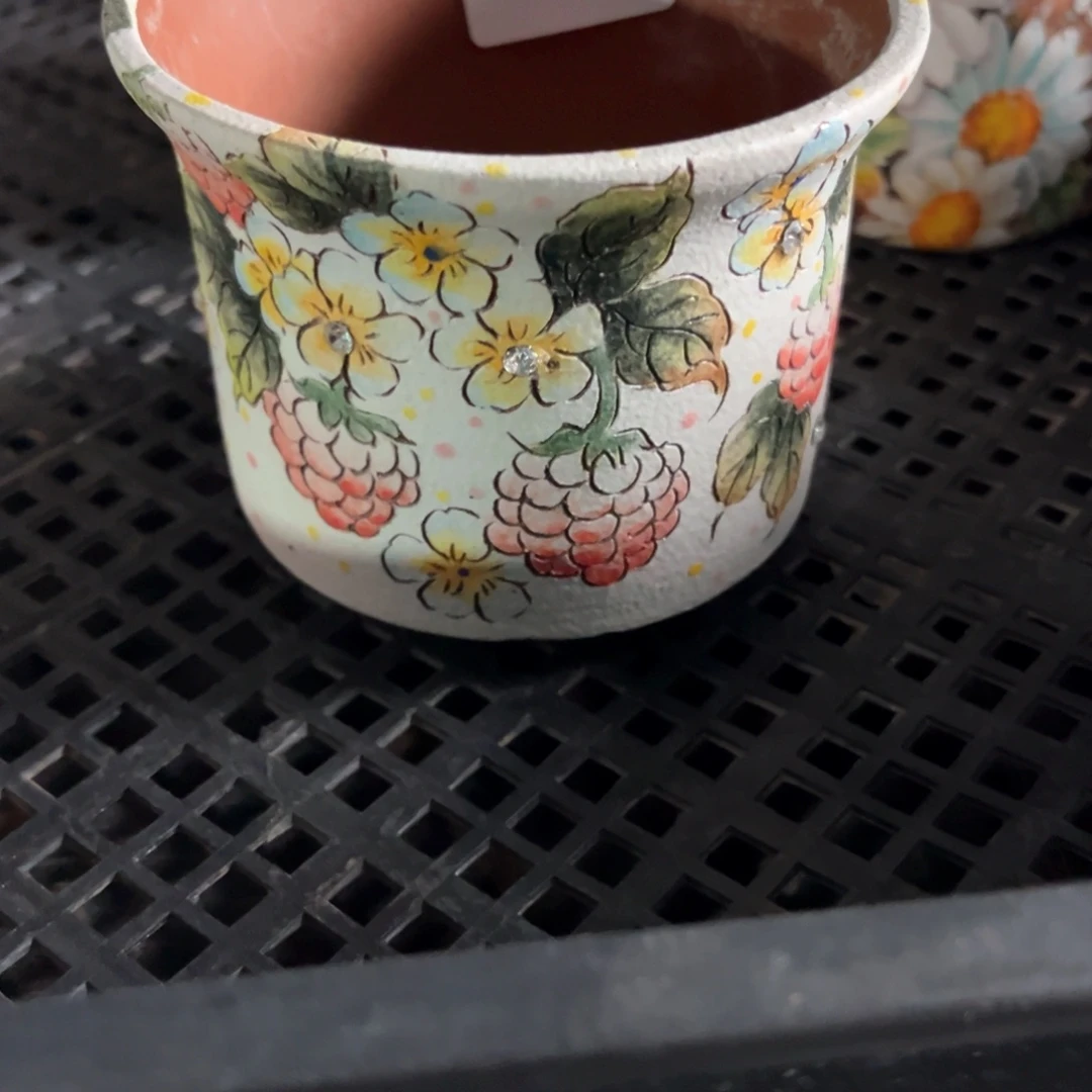 红陶?***.226花盆1个