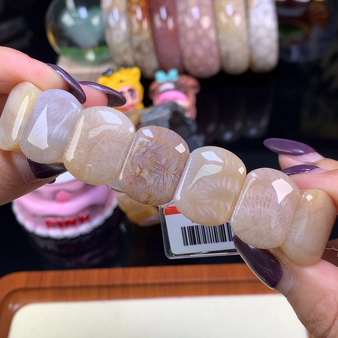 【闪购商品】颈饰未镶嵌硅化珊瑚（珊瑚玉）福利200漏128（8号）