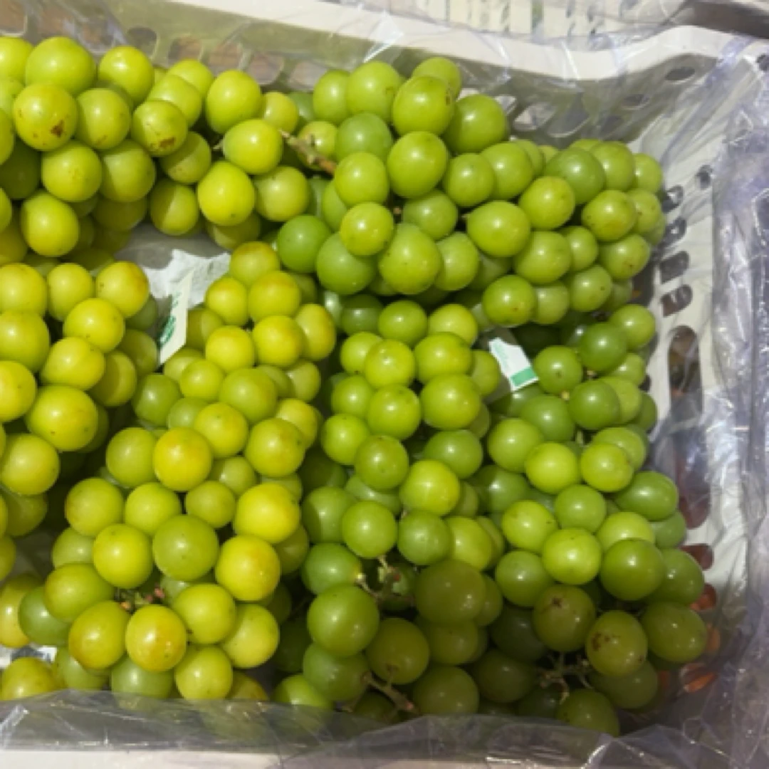 福利晴王葡萄（十二斤左右）