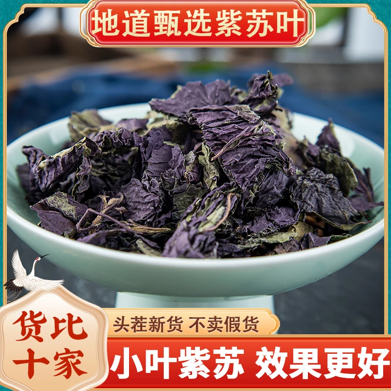 野生紫苏叶新鲜干货可食用泡茶香料自晒无硫无粗杆海鲜香料紫苏叶