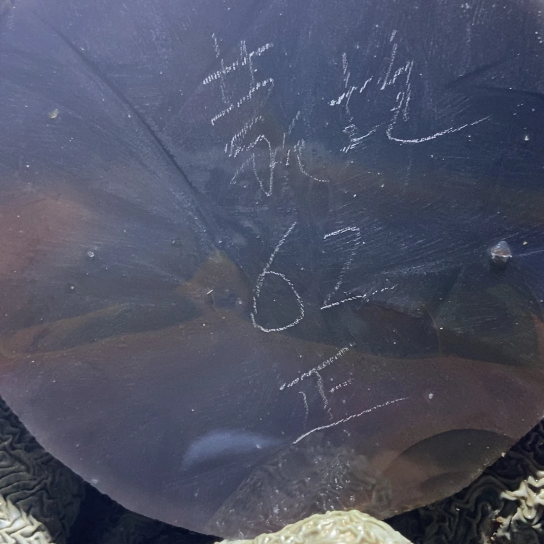 蒙***包定制玛瑙私人定制62口工费不退