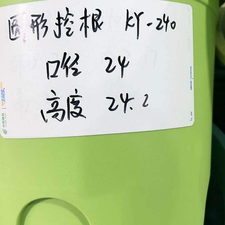正品圆形控根口24高24果绿色8个无托