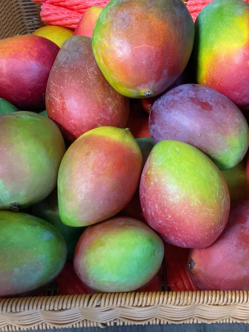 Y攀枝花彩虹芒果现摘现发软糯香甜原产地直发