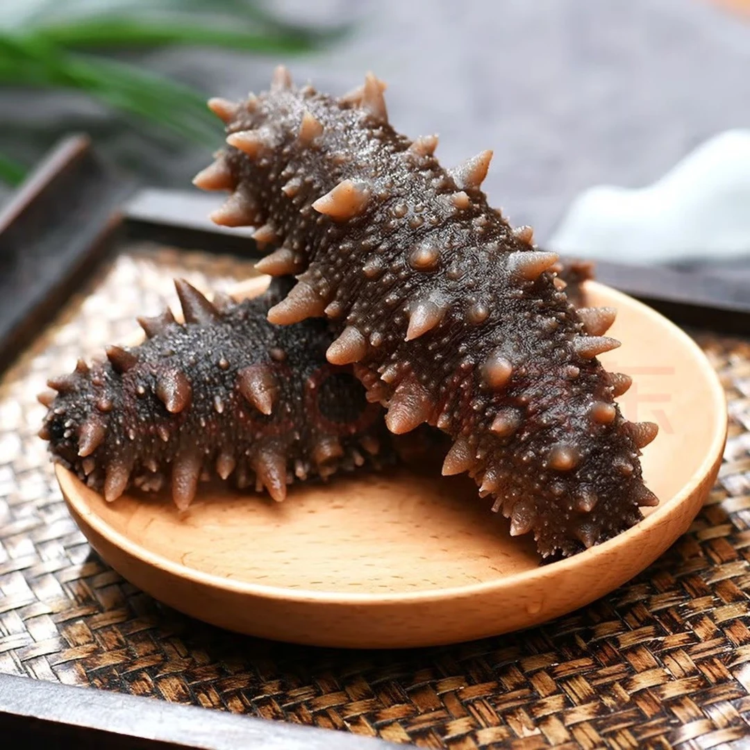 青岛渤海湾即食海参8-12只口感品质独立包装新鲜海参