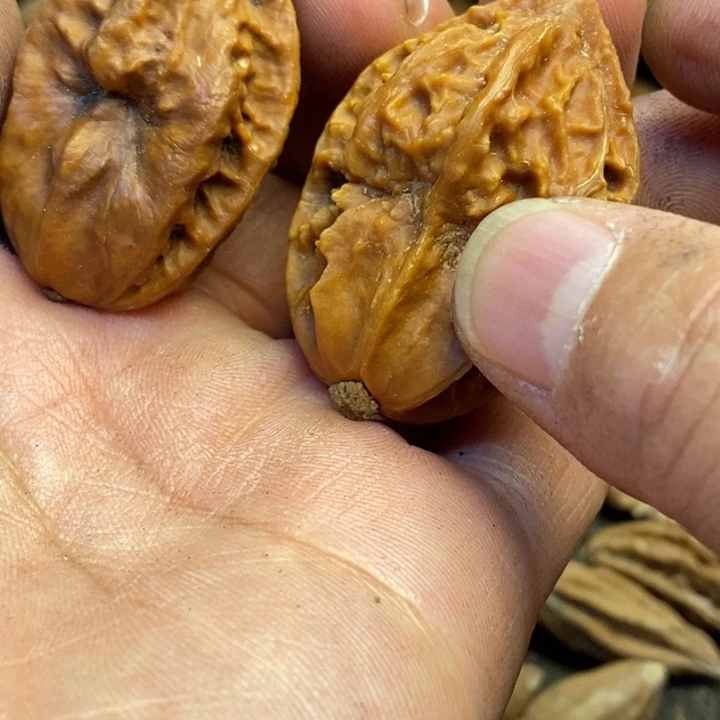 桃核吊坠娜姐真的188