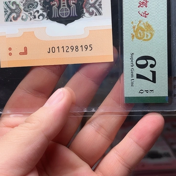 塑料龙钞啊啊啊啊啊啊啊啊啊