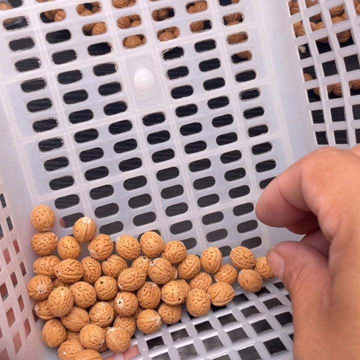 阿***涛散发50元优惠活动