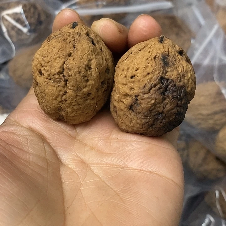 核桃云南铁核桃基地2