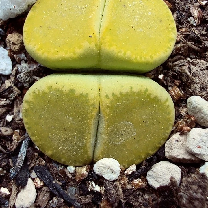 我们一起看电视的时间长696