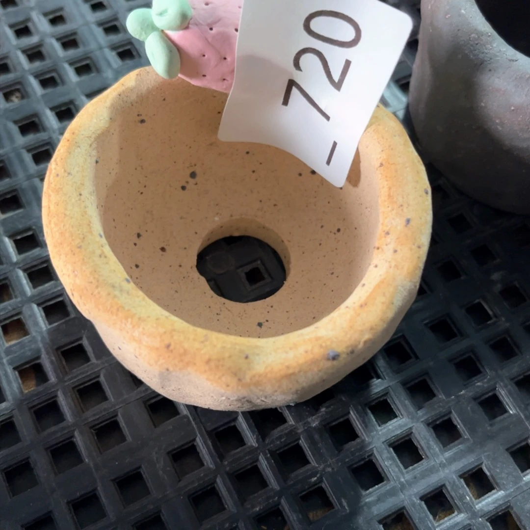 红陶安*720花盆1个