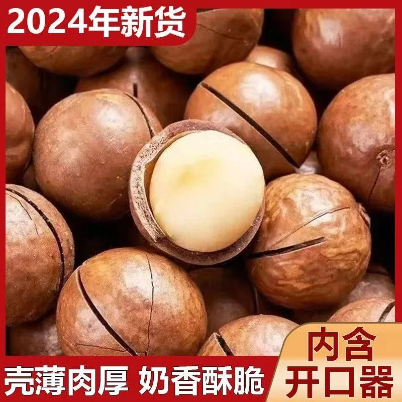 【新货】奶香味夏威夷果大颗粒坚果零食香脆饱满果仁B