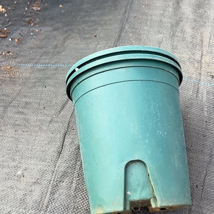 绿色加仑盆口径16高17发10个