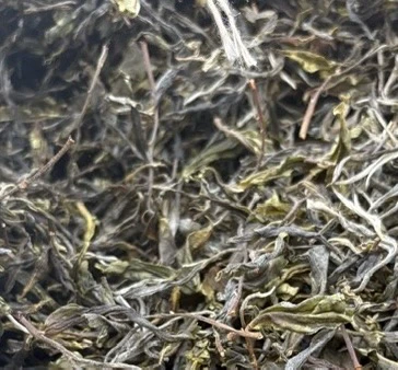 荒山茶叶普洱生茶散茶50克