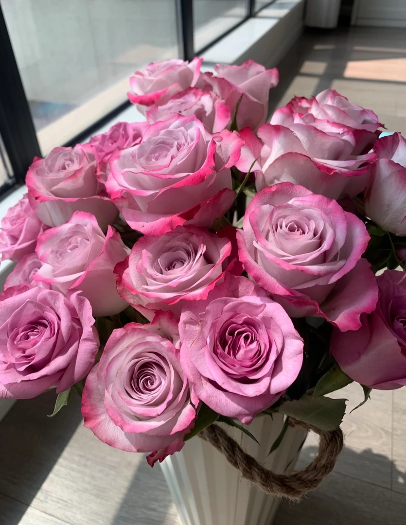 【九里花田】单头玫瑰气场-基地现剪-一单普通快递两单顺丰