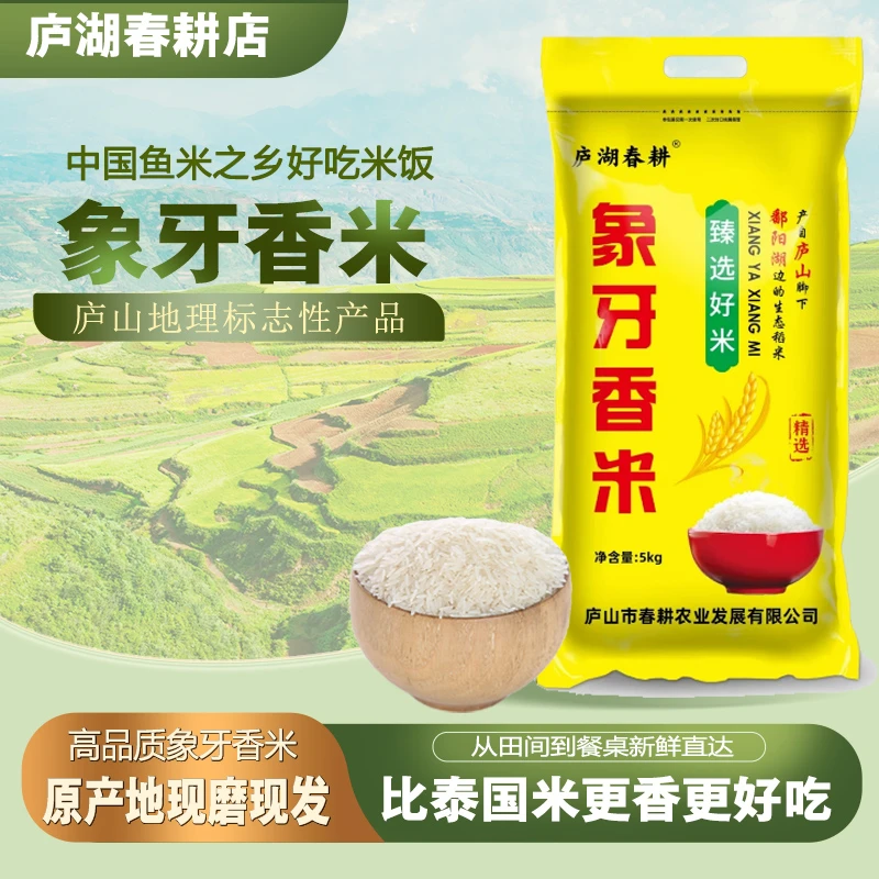 庐湖春耕象牙香米软糯香甜适合家庭日常食用