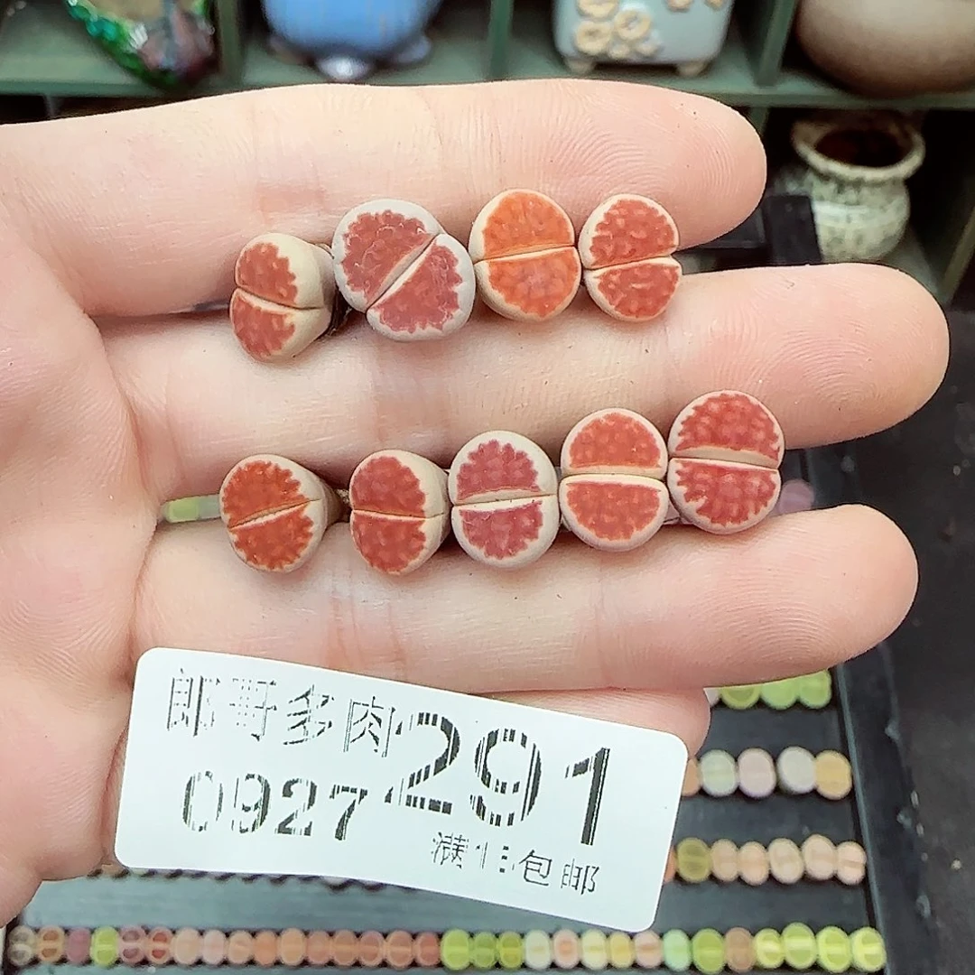 满满18包邮0927-291
