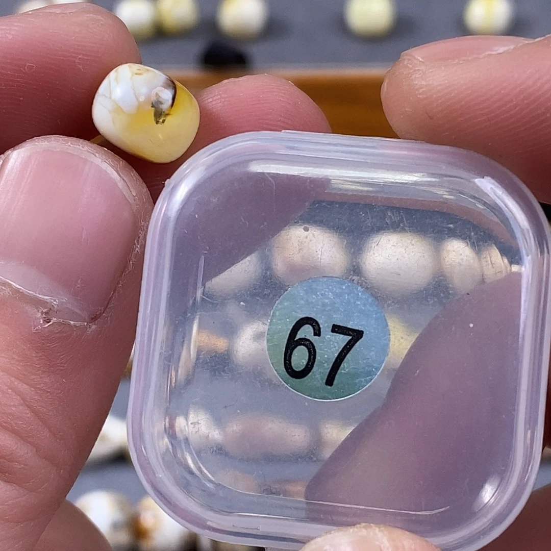 琥珀裸石未镶嵌微瑕